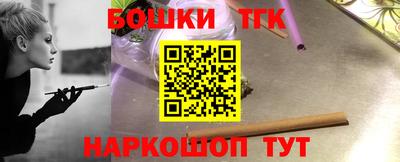 индика Норильск